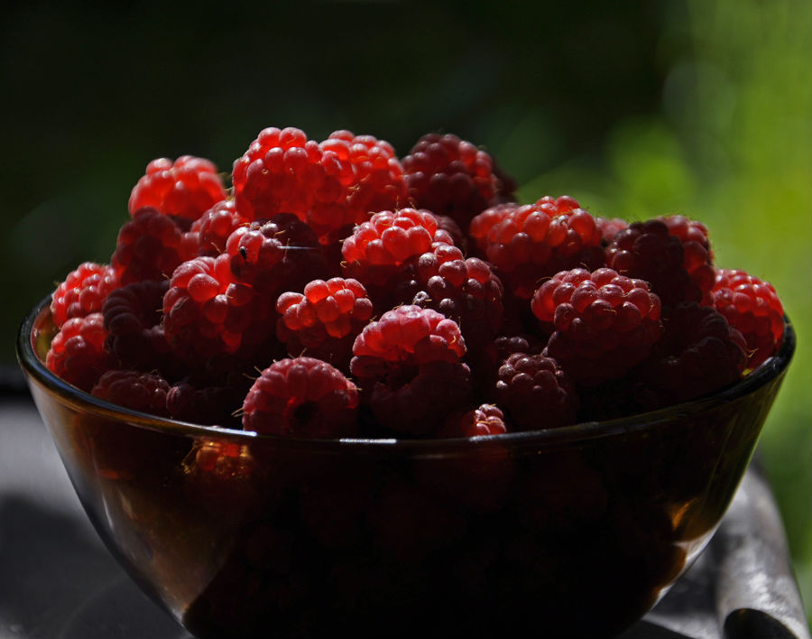 15.17 rs-raspberries 1414462 57898711