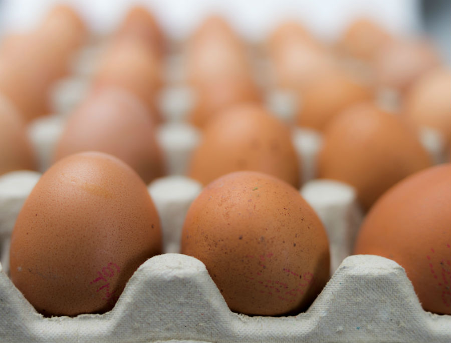21.6 rs-eggs 1442979 62809291