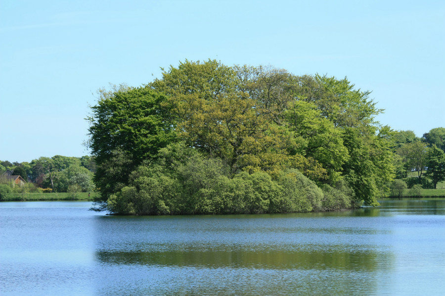 22.1 rs-islandinlake 1424117 74591576