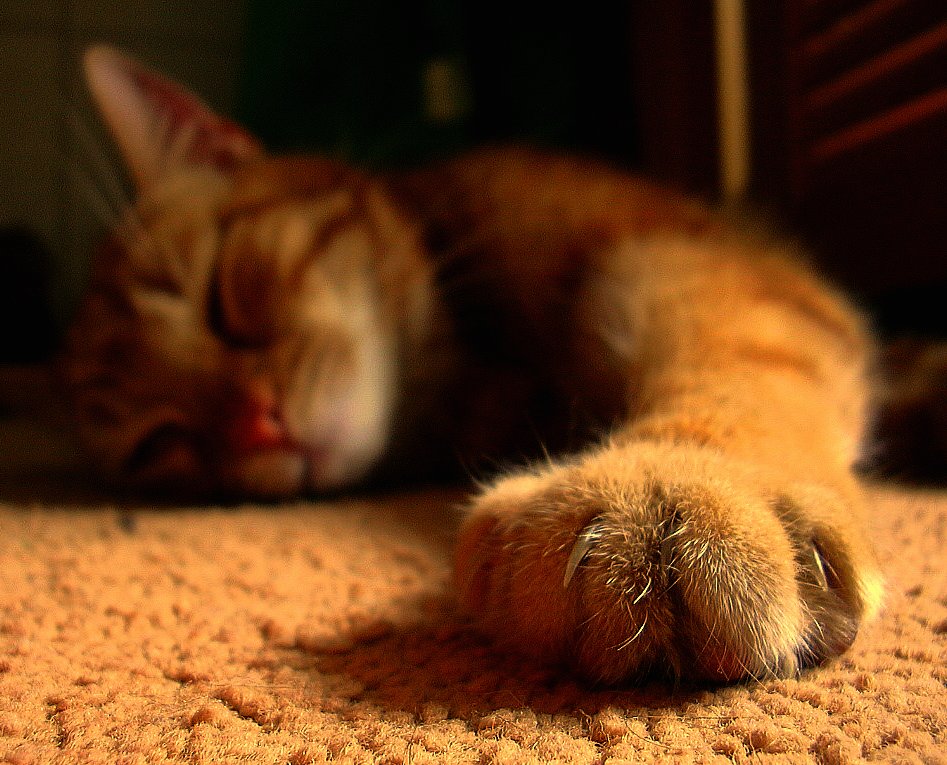 23.20 asleep 1206511 70769821