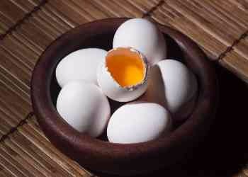 eggs in one basket